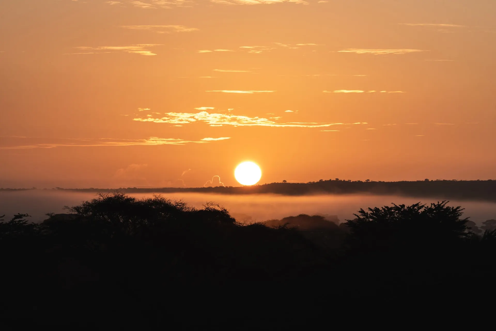 Amboseli sunset
