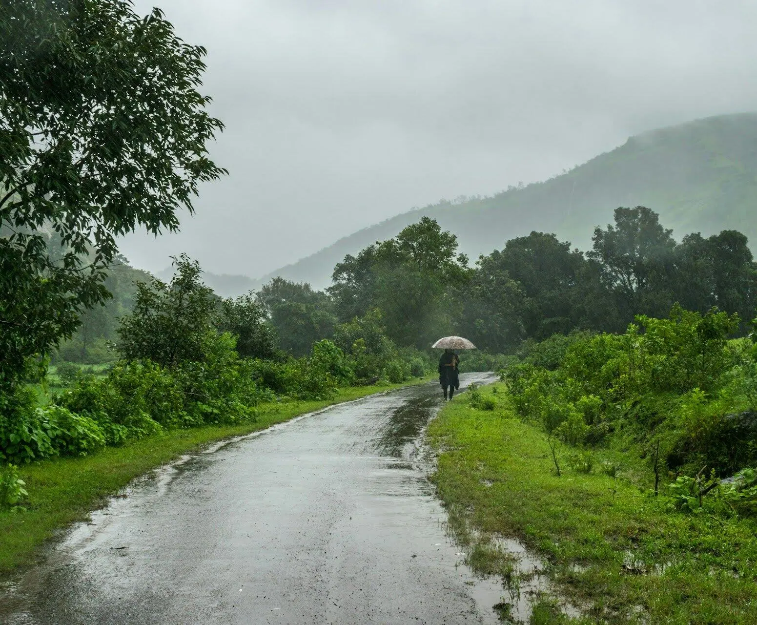 Indian Monsoon