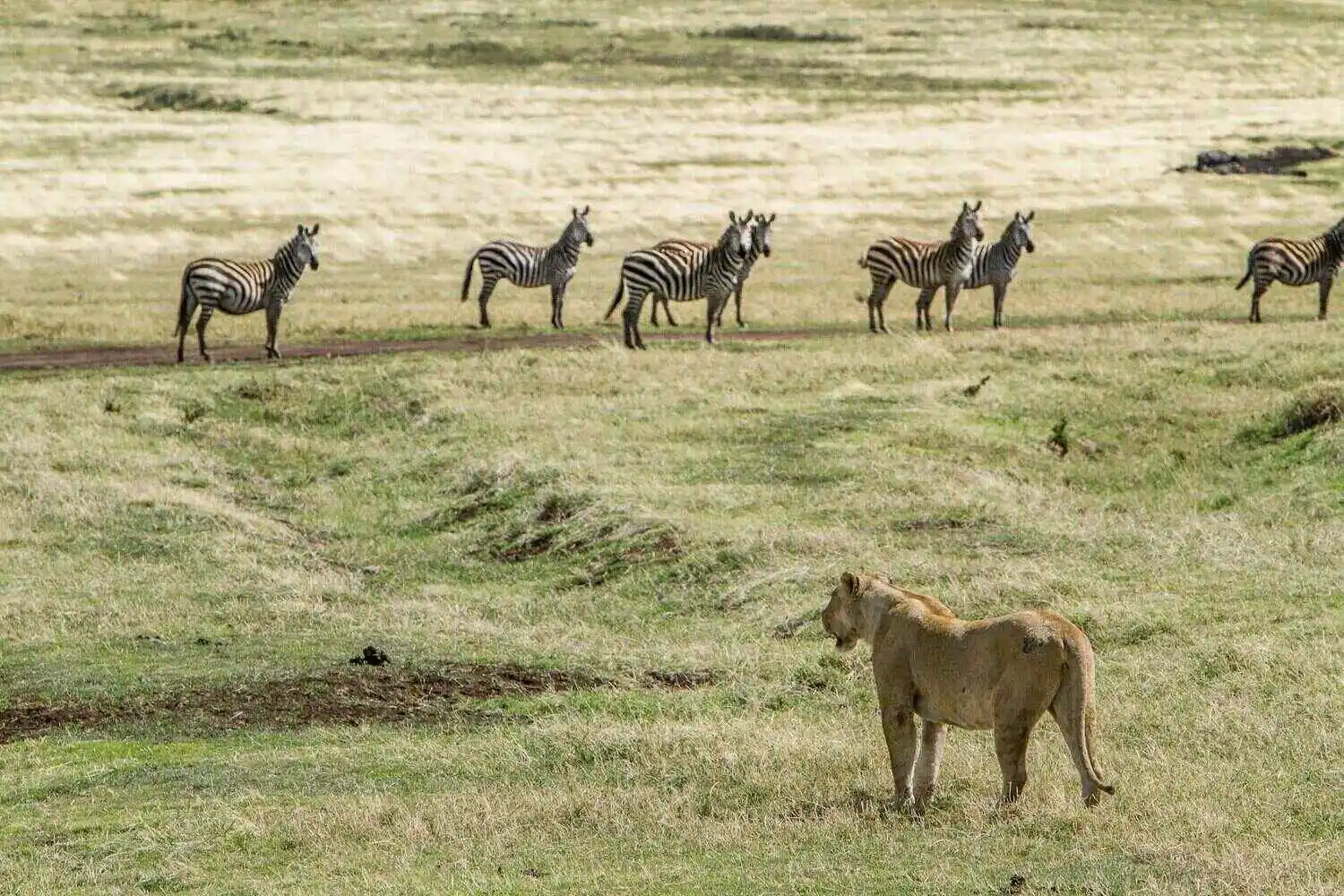 Ngorongoro Climate
