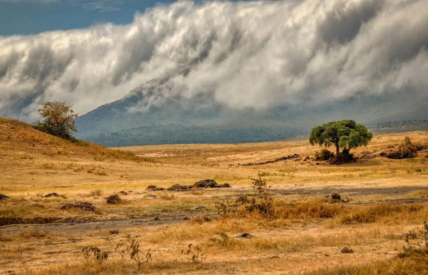 Ngorongoro Climate