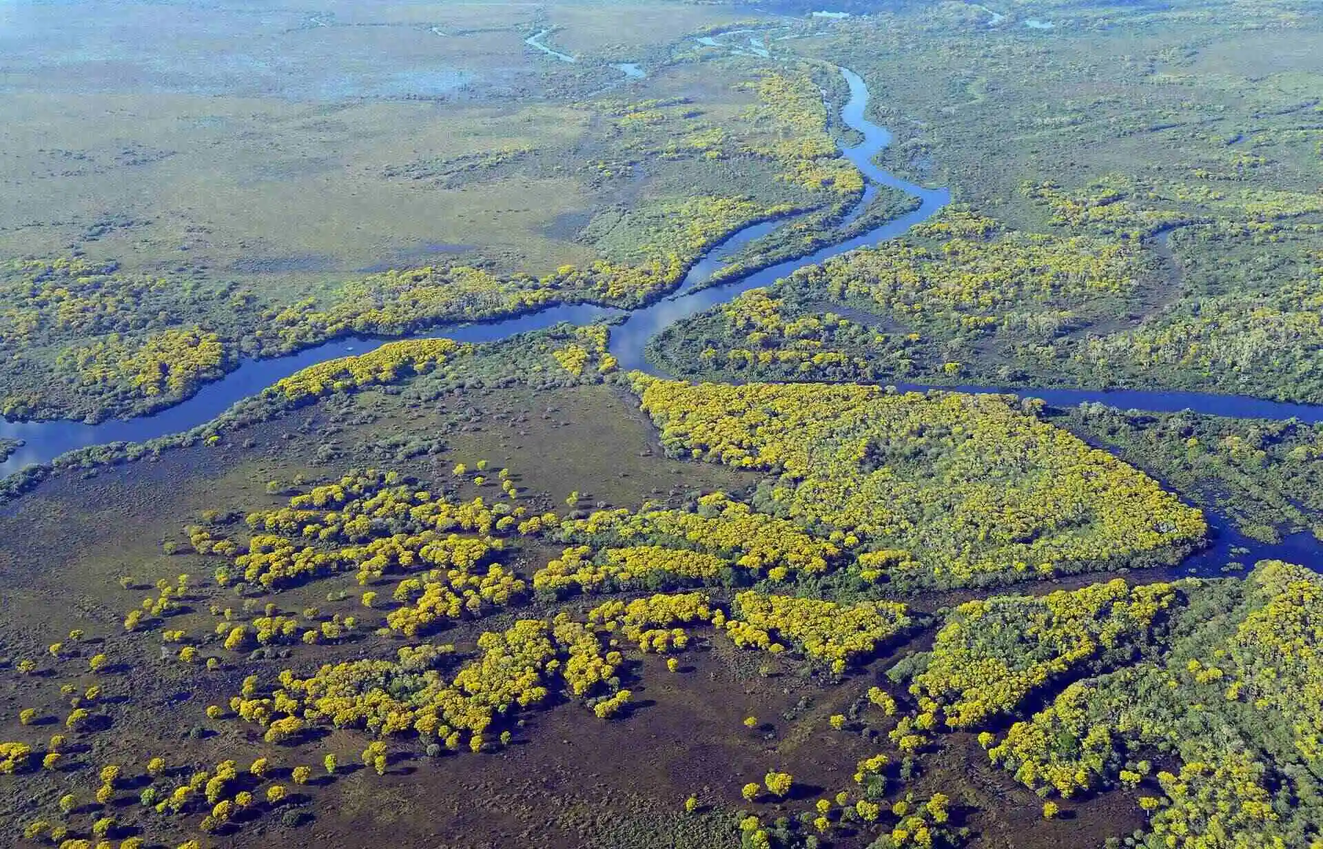 About Pantanal