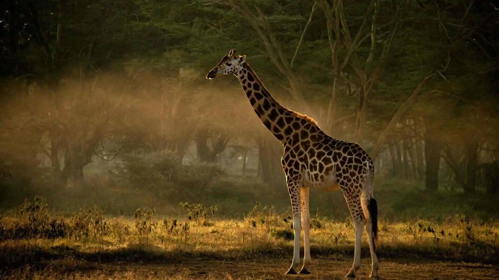 Samburu National Park Samburu National Park