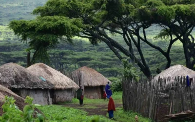 Travel Tips for Planning a Last-Minute Safari