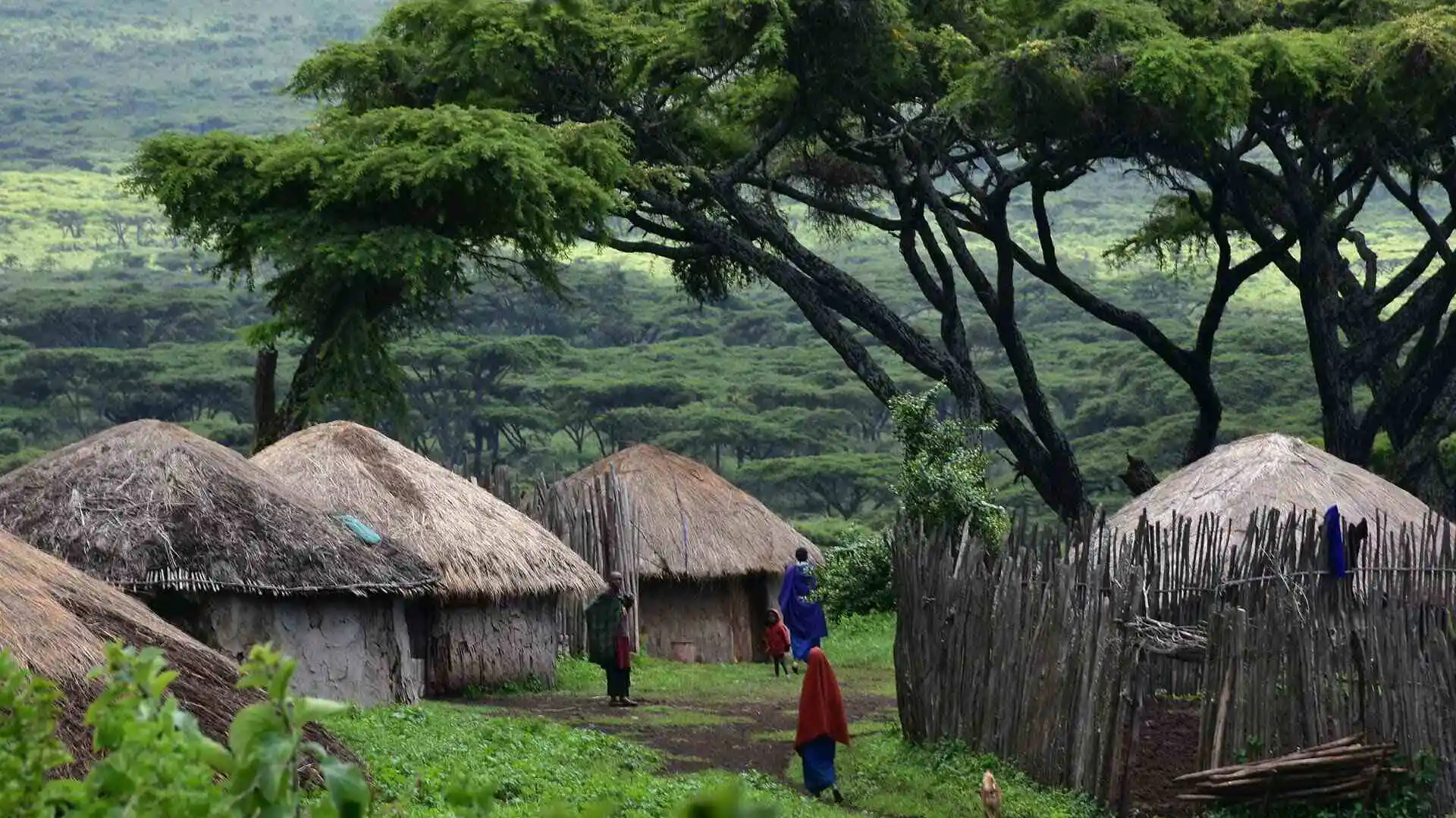 last-min-safari-tips-africa