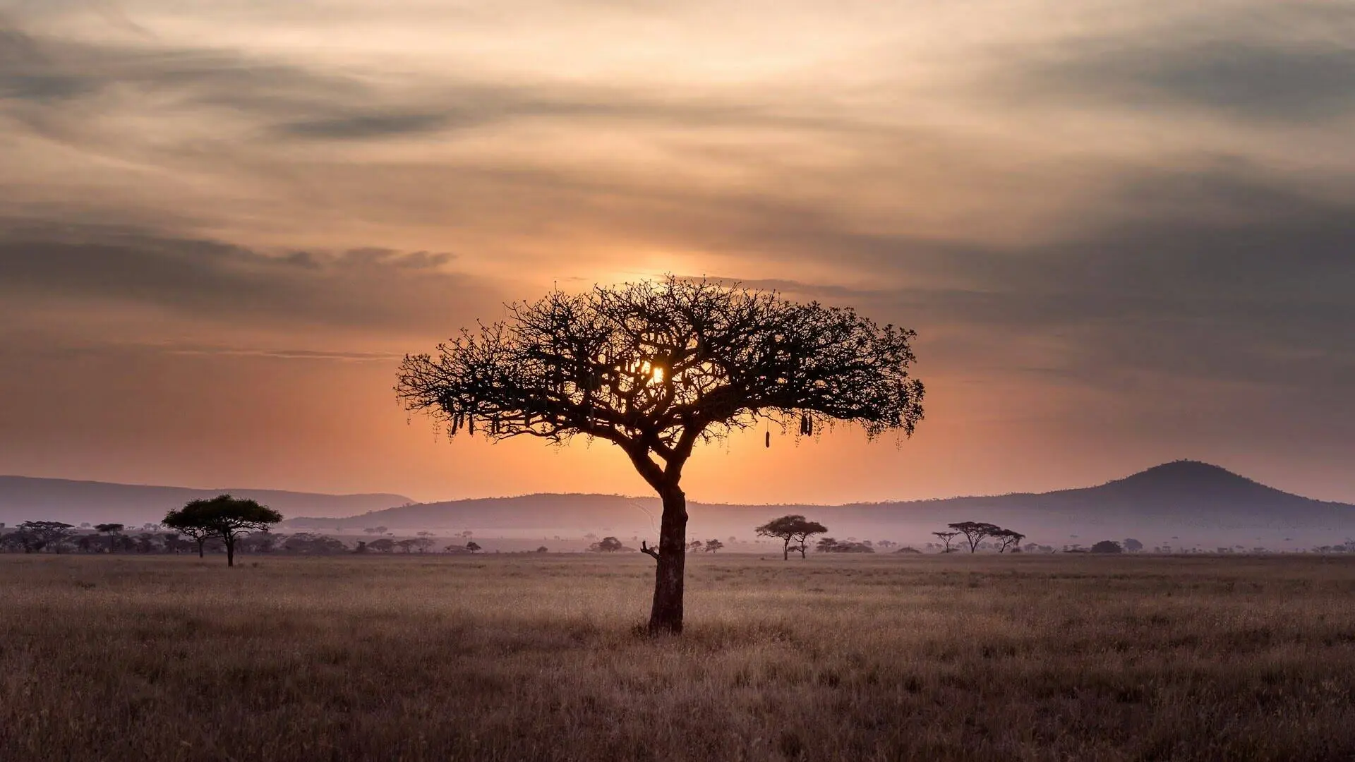 masai-mara-vs-serengeti