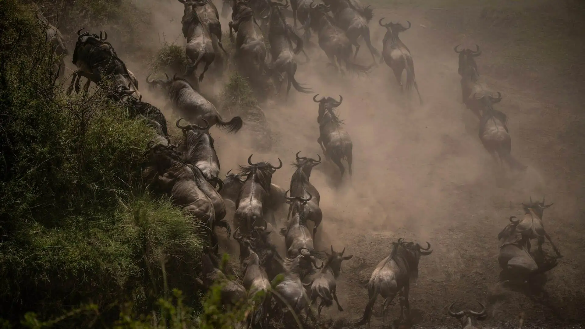 dramatic-great-migration