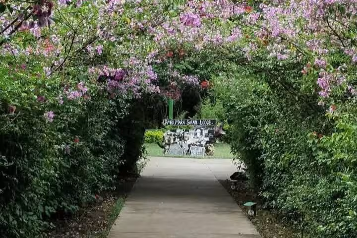 Jambo Mara Safari Garden Pathway