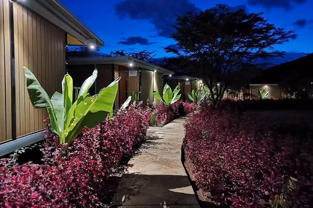 Jambo Mara Safari Colorful Garden Cottage