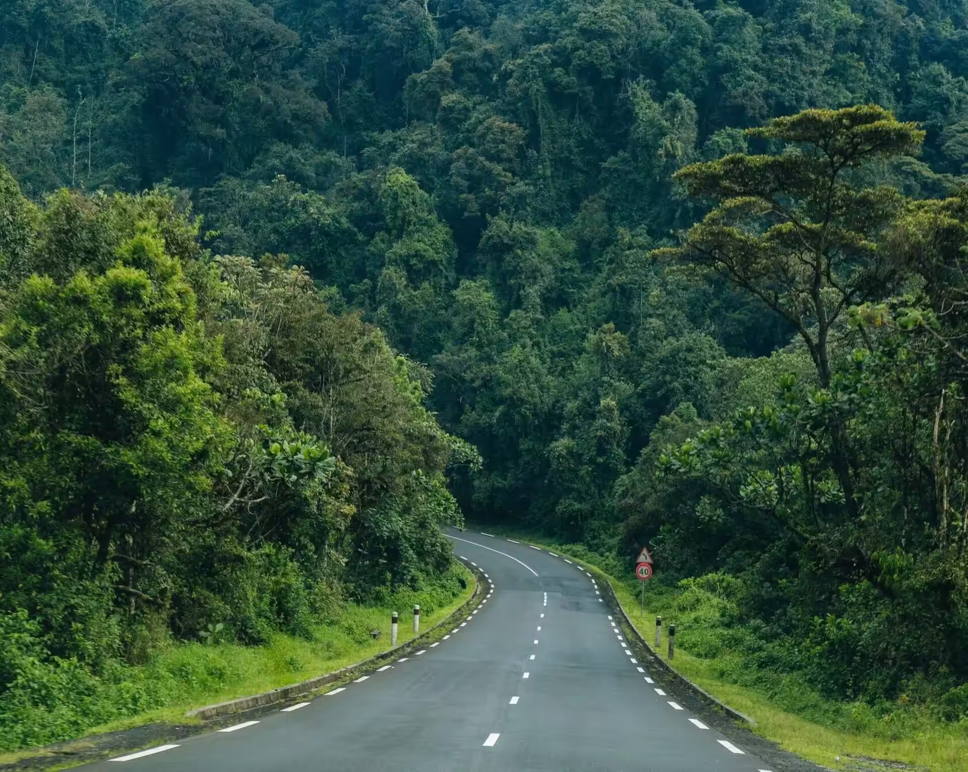 rwanda-forest-view rwanda-forest-view