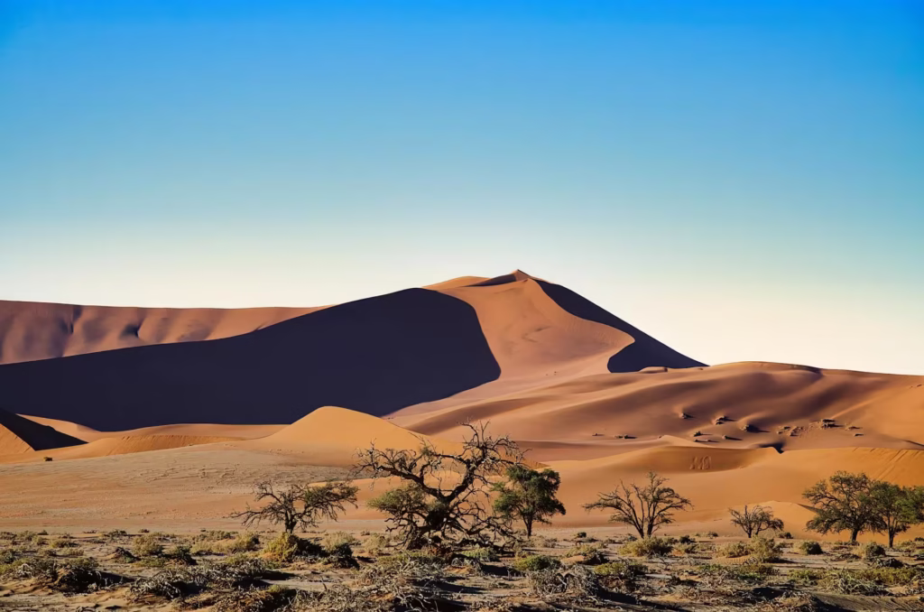 Namib-Naukluft National Park