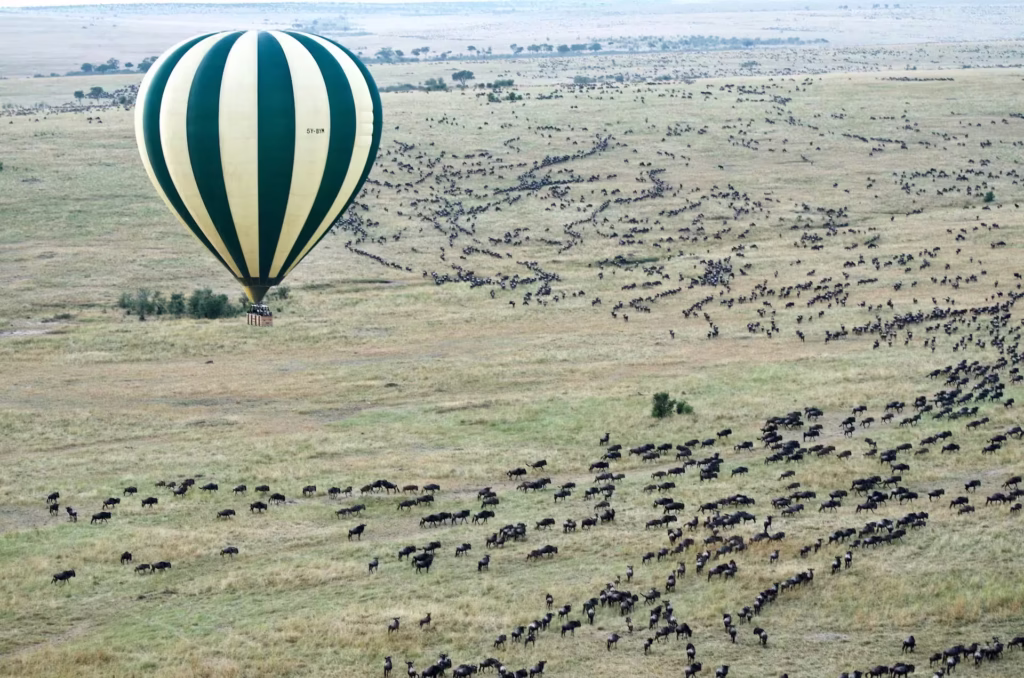 Hot Air Balloon Aerial View