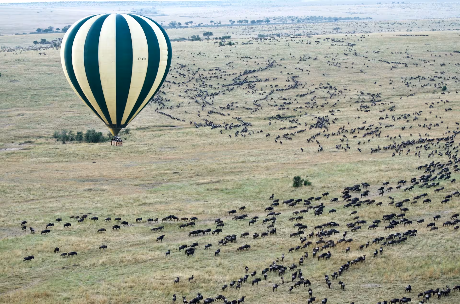 Hot Air Balloon Aerial View Hot Air Balloon Aerial View