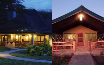 Lodge Safari vs Tented Camp Safari: Which Is Better