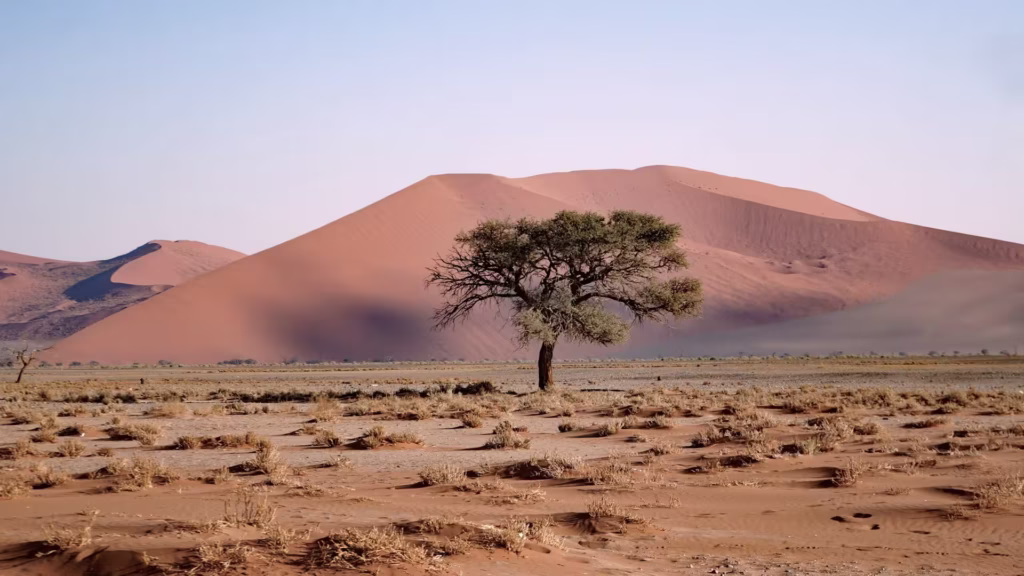 Namib Desert Namibia Namib Desert Namibia