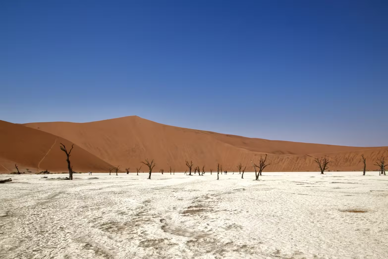 Desert Landscape in Sossusvlei Desert Landscape in Sossusvlei