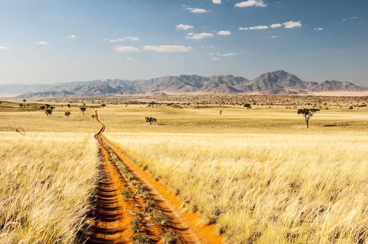 Namibia Wolwedans Namib Rand Namibia Wolwedans Namib Rand