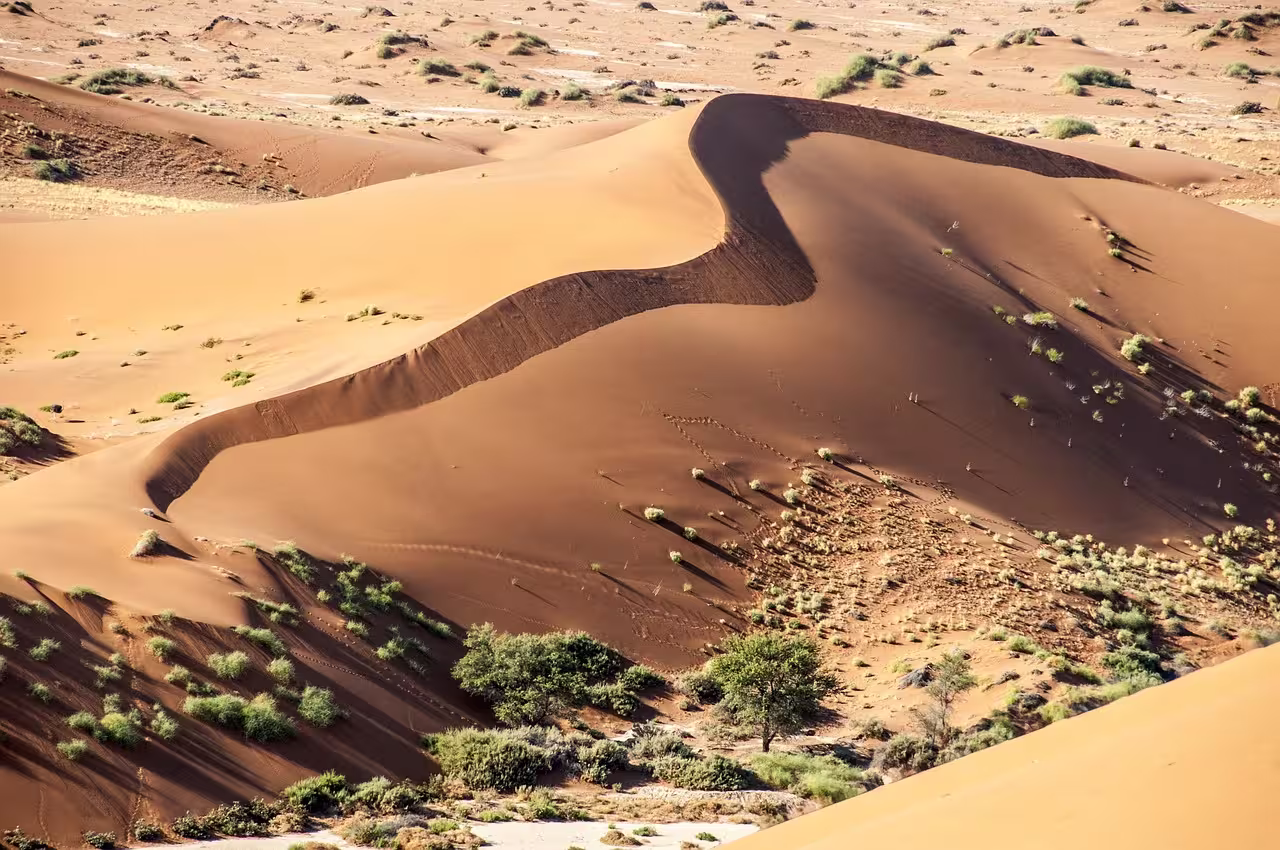 Namib Rand Desert Namibia Namib Rand Desert Namibia