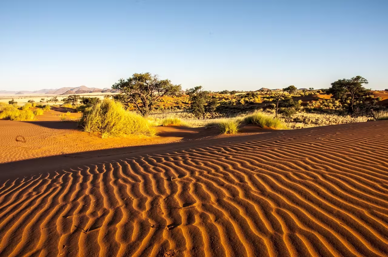 Namib Rand Desert Namibia Namib Rand Desert Namibia