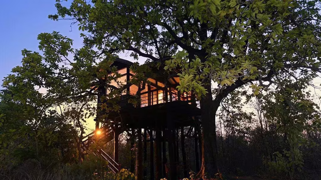 Pench Tree Lodge Tree House Pench Tree Lodge Tree House